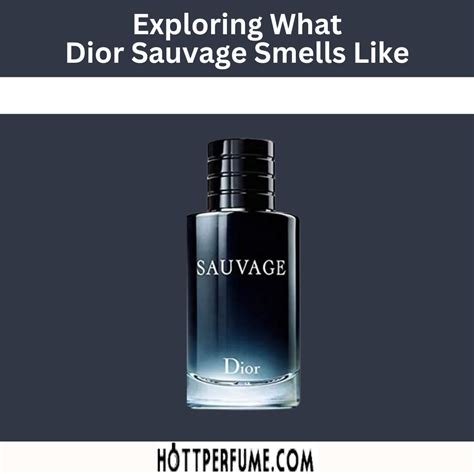 sauvage dior md|what does dior sauvage smell like.